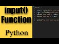 Python Input Function: A Comprehensive Guide for User Interaction
