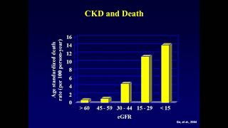 Examining Kidney Toxicities of Sunitinib and Imatinib in Long Term GIST Therapy