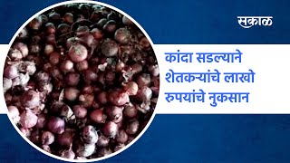 Aurangabad News | कांदा सडल्याने शेतकऱ्यांचे लाखो रुपयांचे नुकसान | Farmers  | Onion | Sakal Media