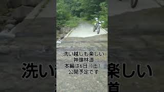 神嶺林道は洗い越しも在って楽しかった😆