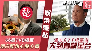 #今日娛樂 新聞｜66歲TVB綠葉深情剖白配角心情令人心酸：希望大家唔好嫌棄我｜｜潘志文7千呎豪宅曝光　花園大到可以放衛星天線勁誇張｜盧慶輝｜TVB｜冼迪琦｜2023年11月03日 #娛樂新聞