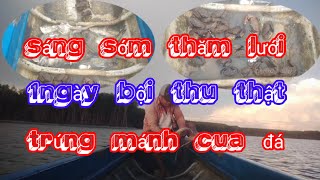 Hôm nay trúng mánh cua đá quá trời - sáng sớm thăm lưới 1ngày bội thu - cuộc sống mưu sinh ngư phủ