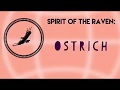 Ostrich Spirit Animal Meaning and Symbolism | Ostrich Totem | Spirit of the Earth