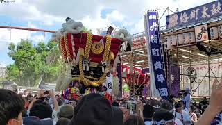 皆で咲かそう房の華！④　３年ぶり！令和４年９月１１日　百舌鳥八幡宮　月見祭　３番　梅北町ふとん太鼓