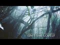 isn’t she lovely stevie wonder cover ブルースハープ