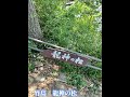 竹島⑦ 愛知 蒲郡 パワースポット 心霊写真 神社 海