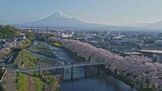 【ドローン空撮】　富士山×桜　【撮影地：静岡県富士市　龍厳淵】