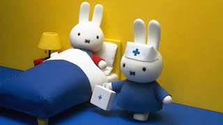 Miffy plays nurse | Miffy and Friends | Classic Animated Show