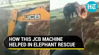 Viral video: JCB excavator helps rescue Elephant from Jharkhand ditch; Netizens hail ‘saviours’