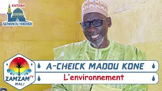 A-CHEIK MADOU KONE ( L'environnement )