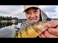 salmon fishing the cowlitz river island