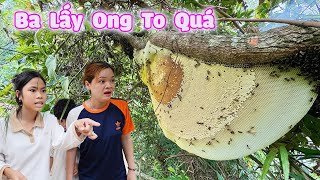 Ba Lấy Ong Mật Trong Lu Tổ Ong To Quá #trangandvinhtv