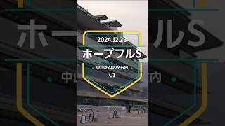 【ホープフルステークス 2024】上位5頭予想！2024年ラストG1、ホープフルスSの開催です！クロワデュノールの強さは本物なのか！？