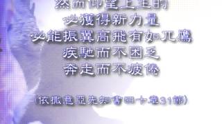 和風音樂～w392 歌名：仰望上主 (作詞，作曲：疏效平)