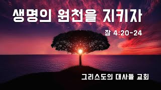 생명의 원천을 지키자