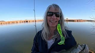 Crappies \u0026 Bass on Mittry Lake, Yuma, Arizona