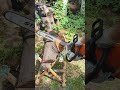 cut firewood with a chainsaw stihl ms 230