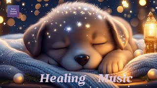 可愛い子犬の眠る姿と癒しの音楽で心地良い睡眠へ導くBGM【Relax Healing Channel】