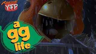 YTP | A GG Life 🍃