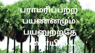 பனை /panai /tamil kavithaigal/தமிழக மரம்