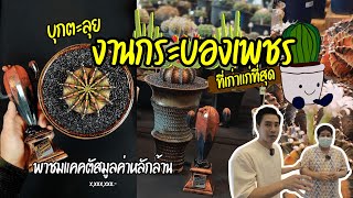 บุกตะลุยงานกระบองเพชรที่เก่าแก่ที่สุด พาชมแคคตัสมูลค่าหลักล้าน