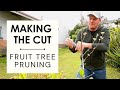 Pruning fruit trees in late winter: Urban Homestead Edition