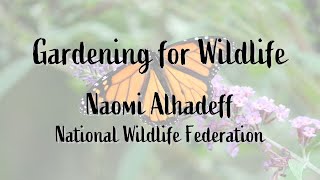 Gardening For Wildlife with Naomi Alhadeff