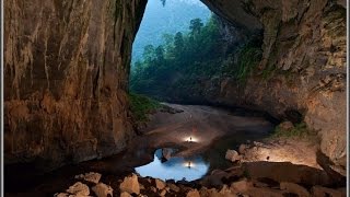 Son Doong Cave - Amazing forest inside Son Doong Cave