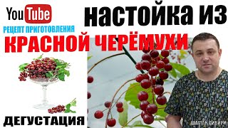 Настойка Из Красной Черëмухи!Отличный рецепт Приготовления!Дегустация!