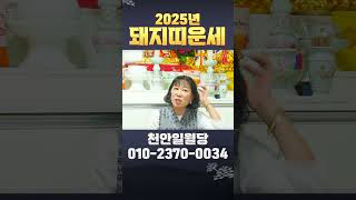 ✨2025년 돼지띠 운세✨ 돼지띠 운세 총 정리❗성공과 행복의 해가 될까?! 내년 삼재  돼지띠는 특히 조심할 것!! #돼지띠 #신점 #2025년운세