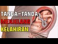 Wajib Tau!! Ini Tanda Seminggu Sebelum Melahirkan yang Bisa Ibu Hamil Rasakan