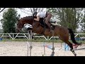 *HUNTER/JUMPER* BEST JUMPER, 2019, gelding, by Go On (Cornet Obolensky) @ANSporthorses