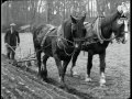 ploughing match 1924