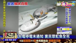 20170110中天新聞　停電搶修未通知　魟魚無電全凍死