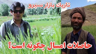 مردم زحمتکش | سیرو ارزگان خاص | افغانستان | فصل تابستان | بکی |Afghanistan