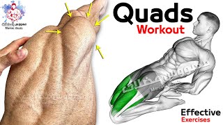 8 تمارين استهداف زوايا (الفخذ الامامية) عضلات رباعية رؤوس - Quadriceps workout