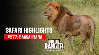 Safari Highlights #577: 26 December 2020 | Maasai Mara/Zebra Plains | Latest #Wildlife Sightings