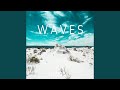 W A V E S