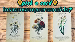 🌻pick a card 🌻ใครแอบชอบคุณเขาชอบอ่ะไร?#timeless #tarot #love