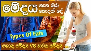 හොඳ මේදය vs නරක මේදය | Types Of Fats | 4K