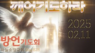 방언기도 실시간, ✝깨어기도하라2025.2.11/ Praying in Tongues / 화,수,목,금 밤9시부터 / DHHC 하늘소망교회