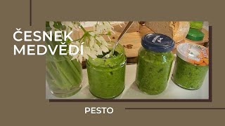 ČESNEK MEDVĚDÍ: vynikající a zdravé pesto