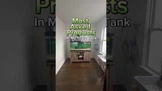 Best Products For Turtle Tank Setups! #reptiles #petturtle #turtletank