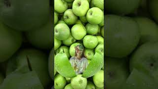 GREEN APPLE #short #apple #green #shortvideo