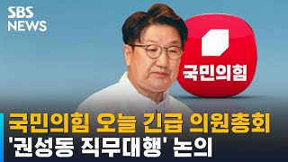 국민의힘 오늘 긴급 의원총회…'권성동 직무대행' 논의 / SBS