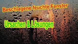 Beschlagene feuchte Fenster - 7 Tipps gegen Kondenswasser & nasse Fenster