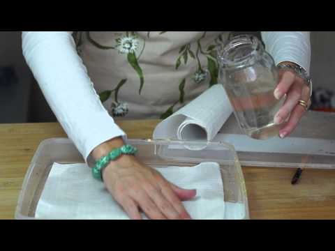 Acrylic Painting Techniques - Stay Wet Palette Acrylic Painting Techniques - Stay Wet Palette