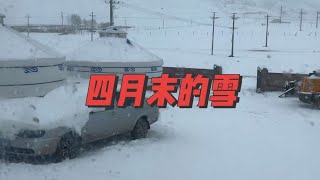 内蒙古四月末的大雪，一觉睡醒拉开窗帘外面一片大雪茫茫赶紧把大棉裤大棉袄都找出来、下雪停电再加上家里都没水了来看看内蒙牧区的一天我们是怎么过的……