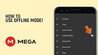 മെഗായിൽ ഓഫ്‌ലൈൻ മോഡ് എങ്ങനെ ഉപയോഗിക്കാം [എളുപ്പം]