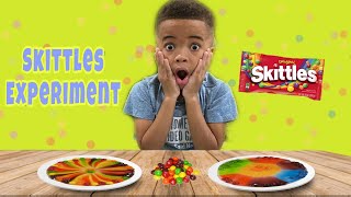 Skittles Rainbow Experiment | Skittles DIY Science For Kids